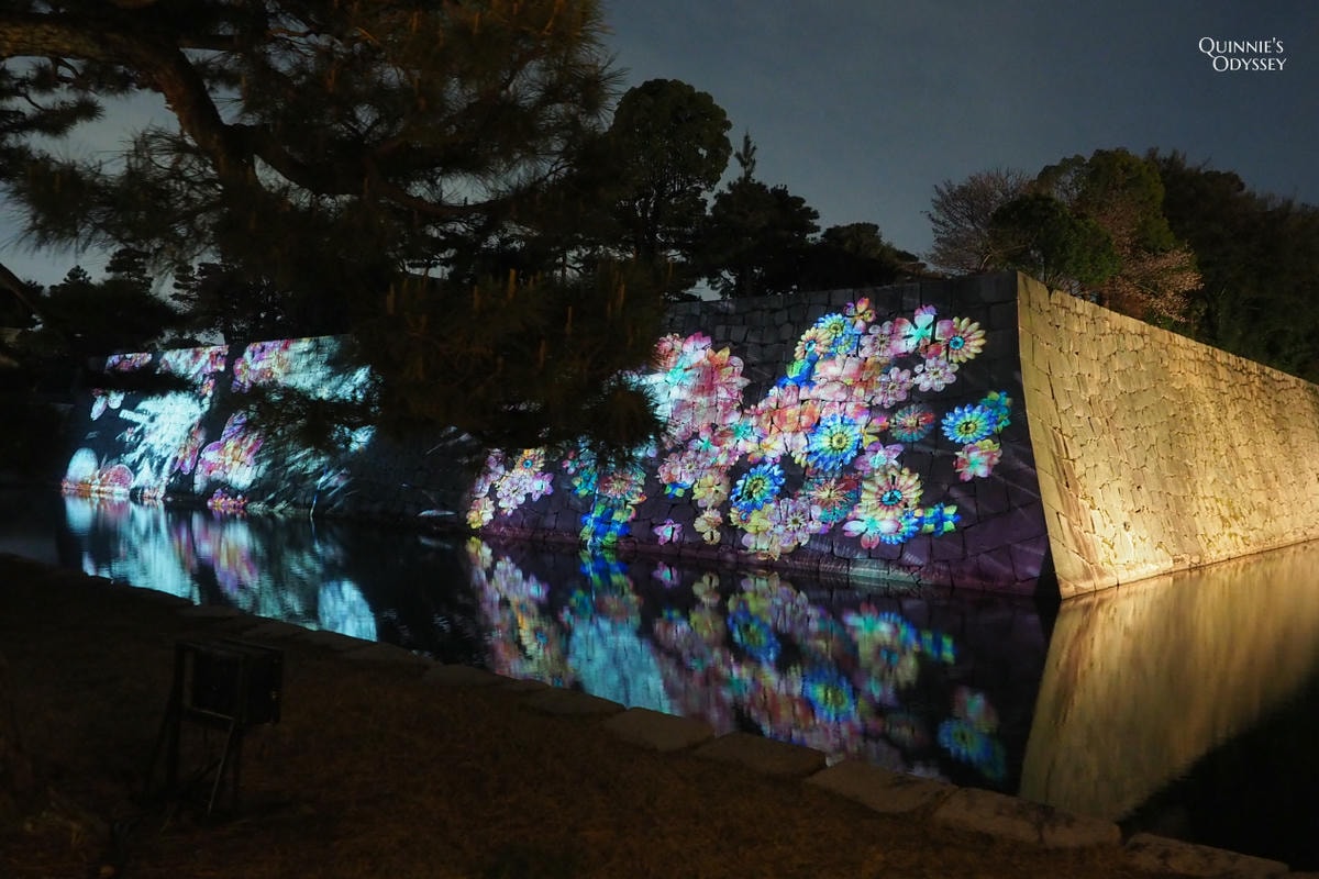 二條城 NAKED櫻花祭:2025夜櫻光雕秀門票/交通/必看亮點 - 第11張圖 京都二條城 櫻花祭 光雕投影