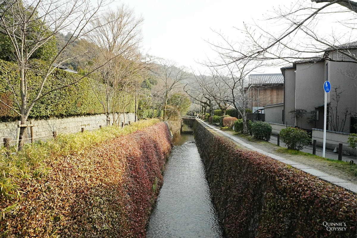 京都哲學之道散步一日遊:景點地圖推薦、收集動物御神籤 - 第2張圖 哲學之道