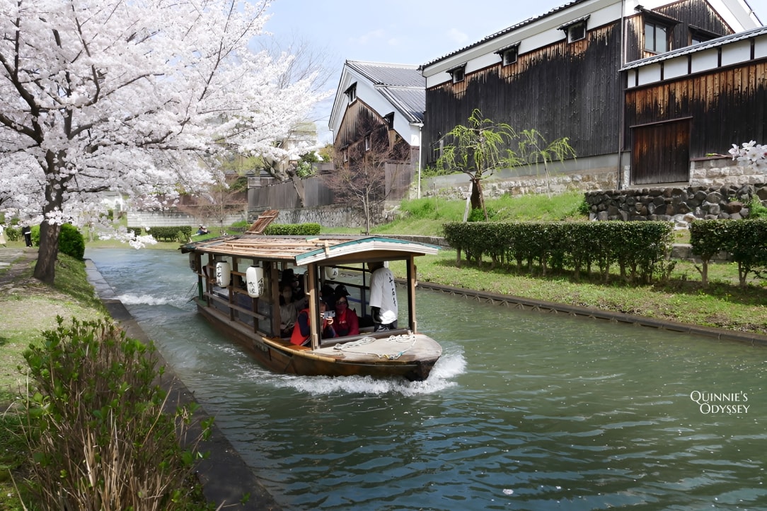 Fushimi Jukkokubune Cherry Blossom