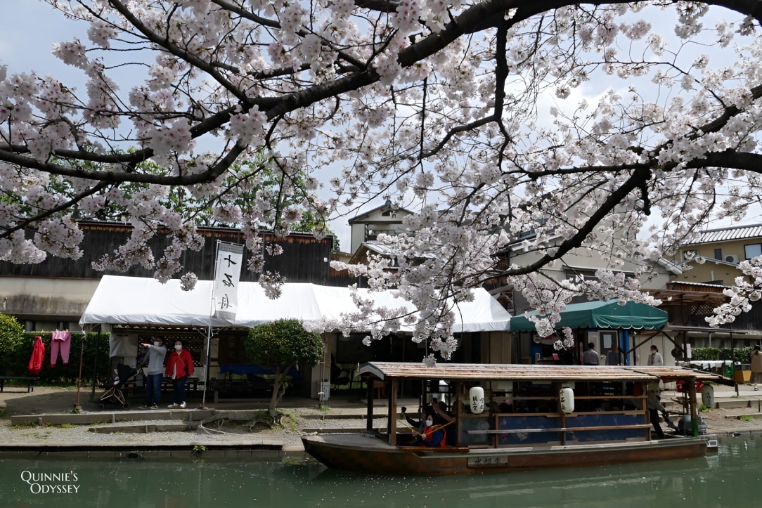 Fushimi Jukkokubune Cherry Blossom