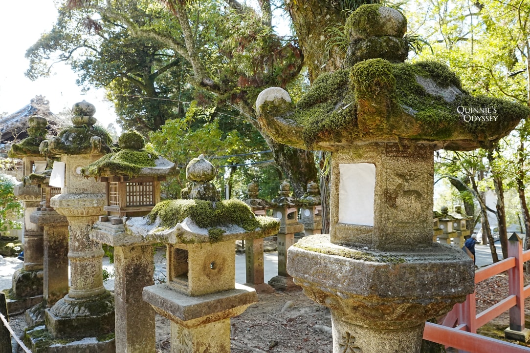 奈良春日大社攻略|白鹿御神籤、萬燈籠、神鹿傳說 - 第3張圖 奈良 春日大社參道與石燈籠