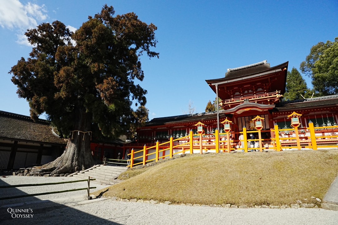 奈良春日大社攻略|白鹿御神籤、萬燈籠、神鹿傳說 - 第4張圖 奈良 春日大社本殿