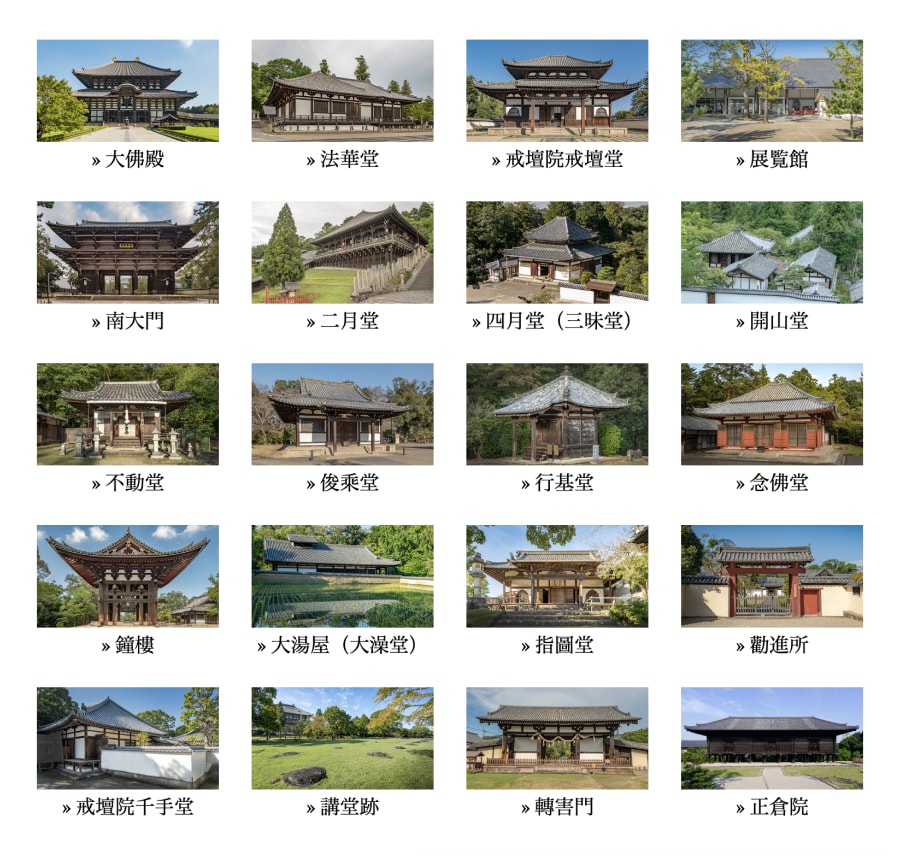 奈良東大寺景點
