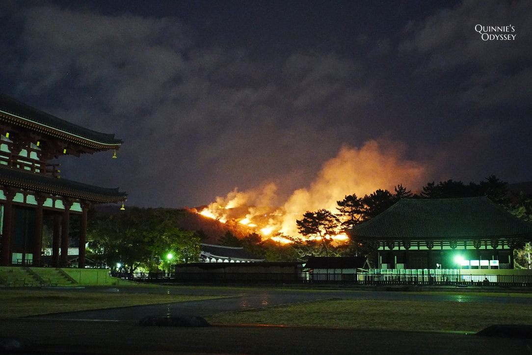 奈良若草山燒山祭:活動流程/拍攝地點推薦/心得分享 - 第14張圖 奈良燒山祭