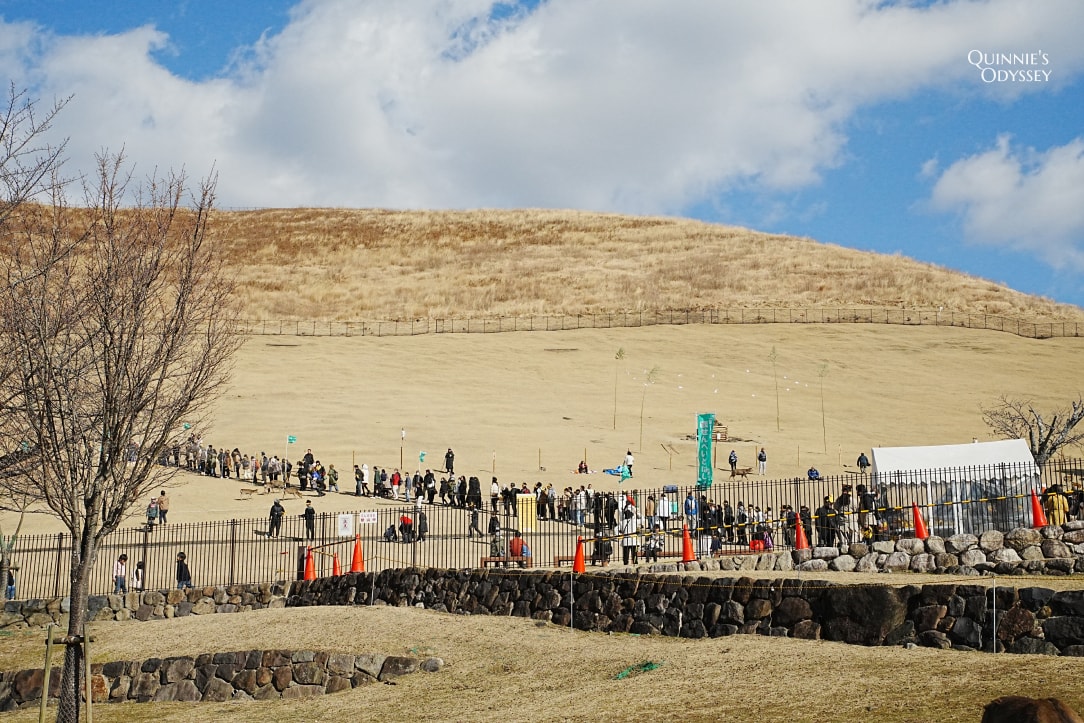 奈良若草山燒山祭:活動流程/拍攝地點推薦/心得分享 - 第5張圖 奈良燒山祭 若草山 投鹿餅比賽