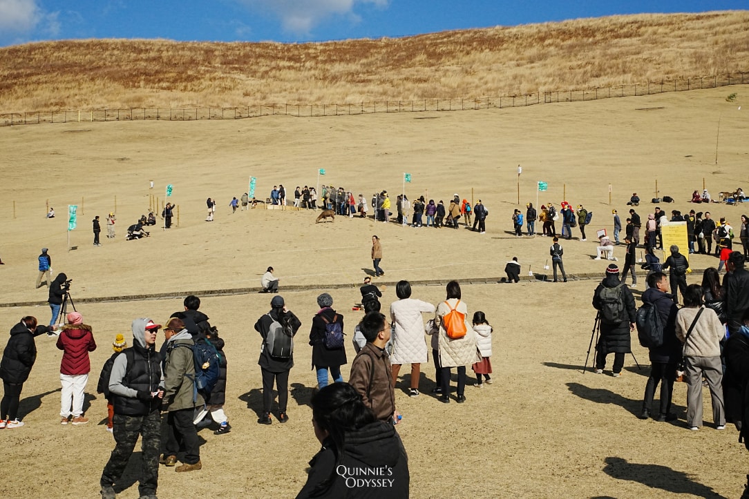 奈良若草山燒山祭:活動流程/拍攝地點推薦/心得分享 - 第6張圖 奈良燒山祭 若草山 投鹿餅比賽