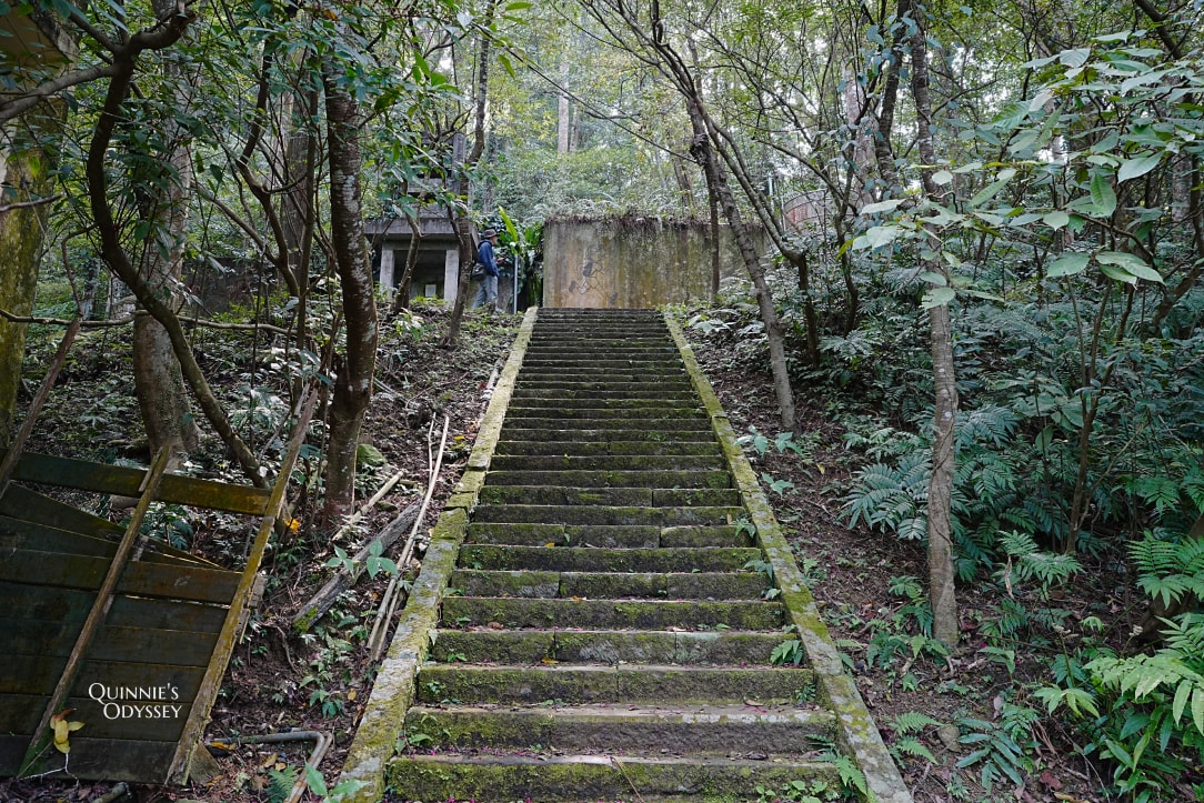 大山北月|新竹橫山秘境:從廢棄小學到森林系咖啡廳,體驗客家風情與藝術氛圍 - 第21張圖 大山北月 逃學步道