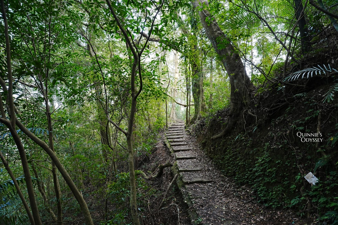 大山北月|新竹橫山秘境:從廢棄小學到森林系咖啡廳,體驗客家風情與藝術氛圍 - 第23張圖 大山北月 逃學步道