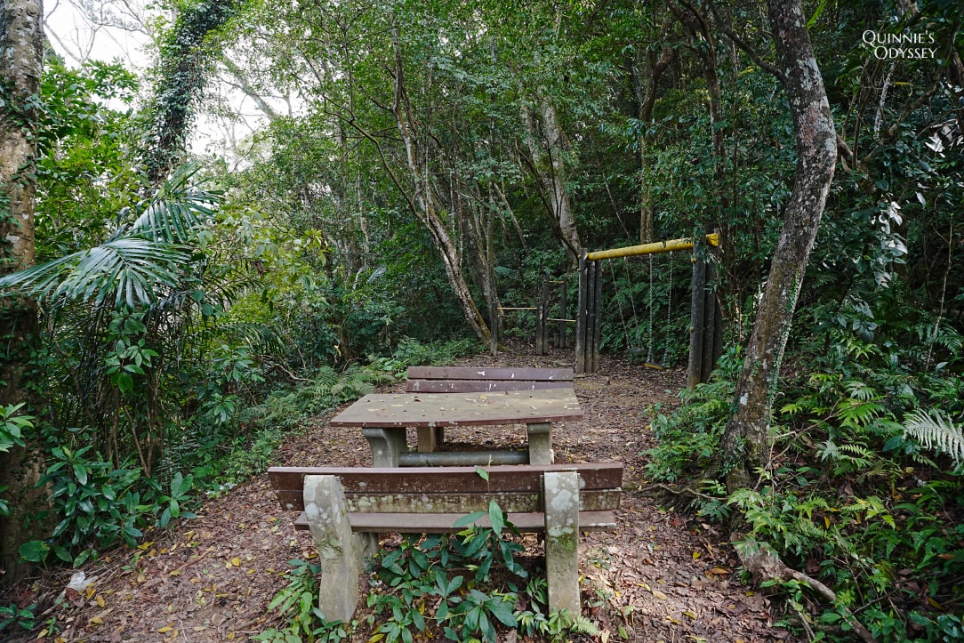 大山北月|新竹橫山秘境:從廢棄小學到森林系咖啡廳,體驗客家風情與藝術氛圍 - 第24張圖 大山北月 逃學步道