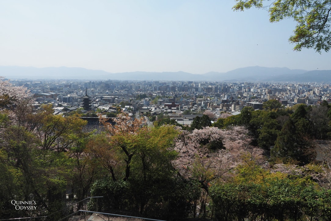 2025京都櫻花季景點推薦:花況預測/避開人潮賞最美櫻花 - 第24張圖 京都靈山護國神社 櫻花