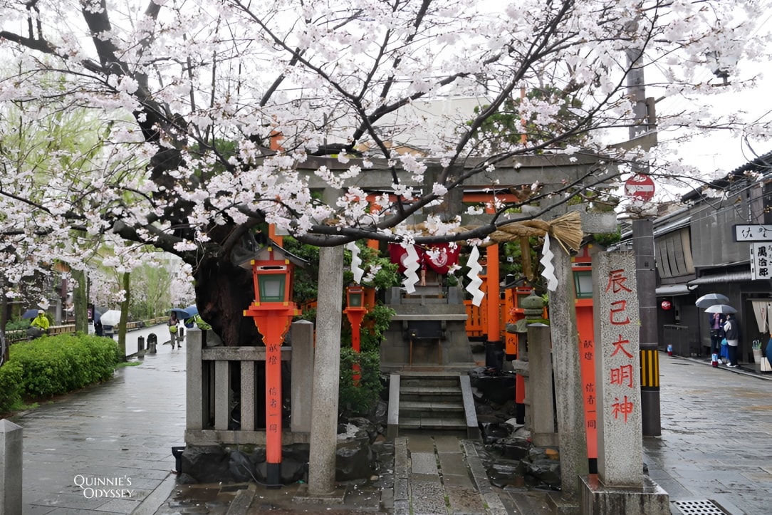 2025京都櫻花季景點推薦:花況預測/避開人潮賞最美櫻花 - 第4張圖 京都 祇園白川 櫻花 辰巳大明神