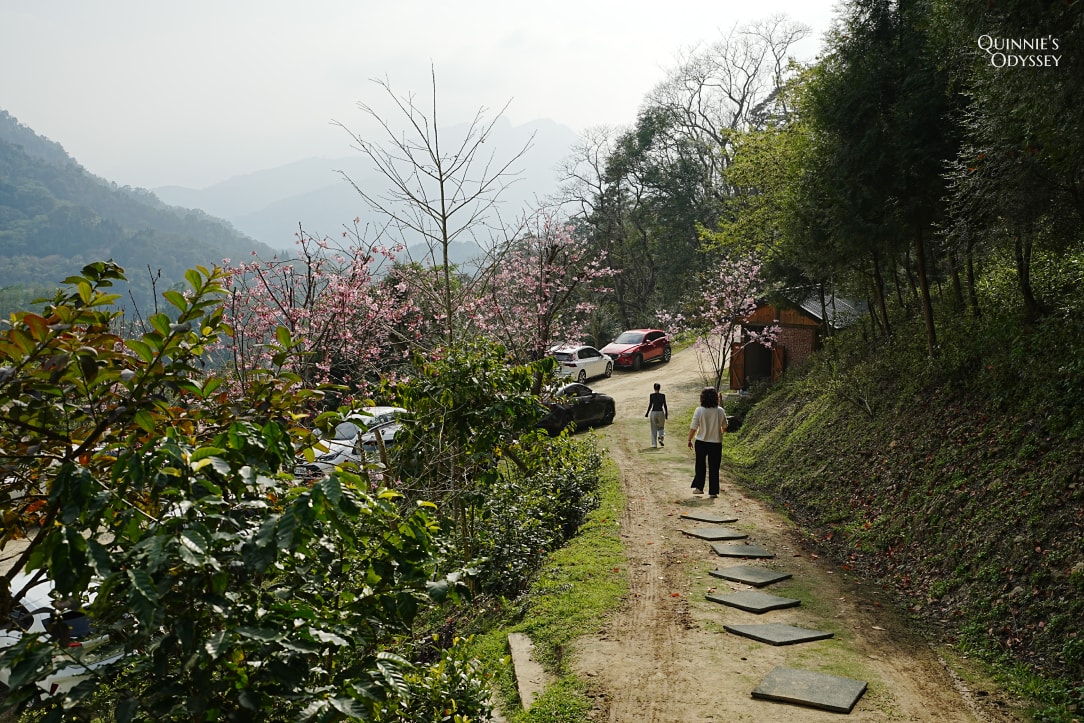 上山喝咖啡 | 新竹橫山景觀咖啡廳:山林間的療癒時光 - 第5張圖 上山喝咖啡 新竹景觀咖啡廳