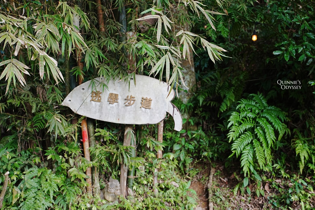 上山喝咖啡 | 新竹橫山景觀咖啡廳:山林間的療癒時光 - 第20張圖 逃學步道