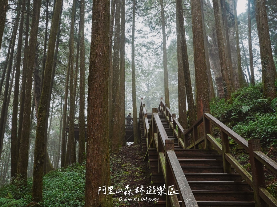 東石三塊厝水中古厝:嘉義最詩意的廢墟景點 - 第14張圖
