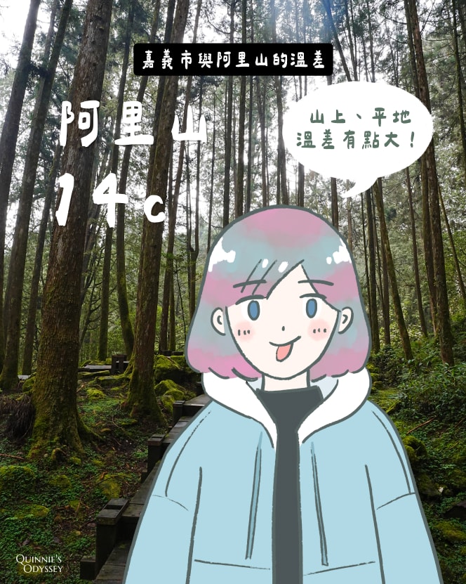 阿里山三天兩夜:不開車也能上山?搭乘台灣好行實測心得 - 第18張圖 阿里山溫度