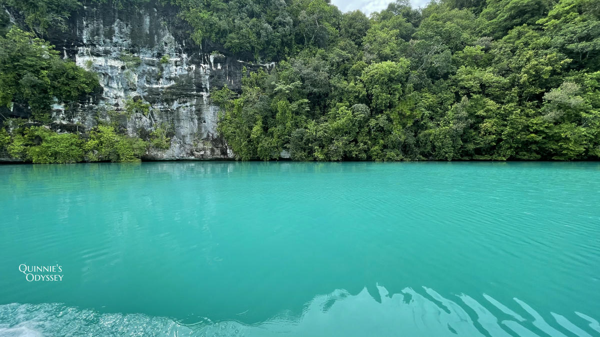 帛琉浮潛:新手第一次浮潛就上癮心得分享/浮潛景點推薦 - 第17張圖 帛琉浮潛 牛奶湖