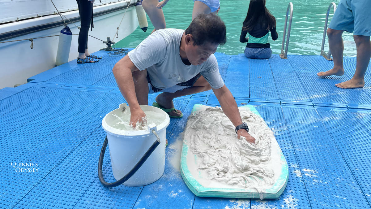 帛琉浮潛:新手第一次浮潛就上癮心得分享/浮潛景點推薦 - 第18張圖 帛琉浮潛 牛奶湖