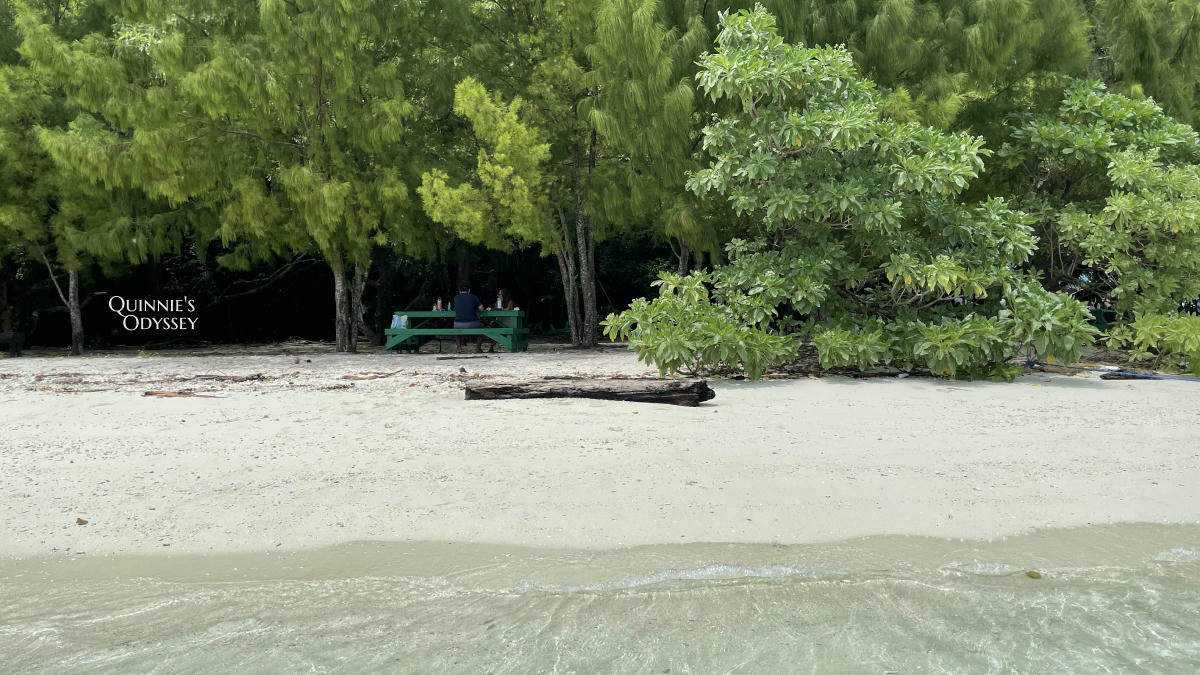 帛琉浮潛:新手第一次浮潛就上癮心得分享/浮潛景點推薦 - 第26張圖 帛琉浮潛 無人島