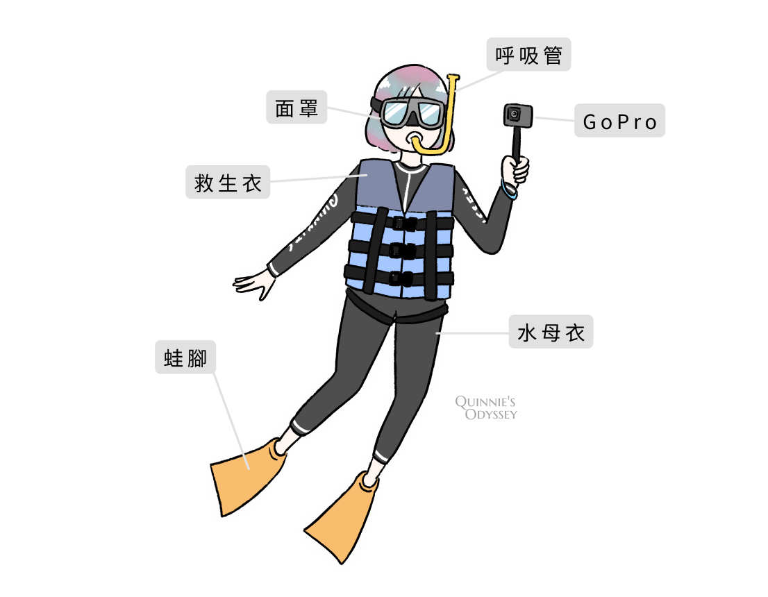 帛琉浮潛:新手第一次浮潛就上癮心得分享/浮潛景點推薦 - 第3張圖 Ppl