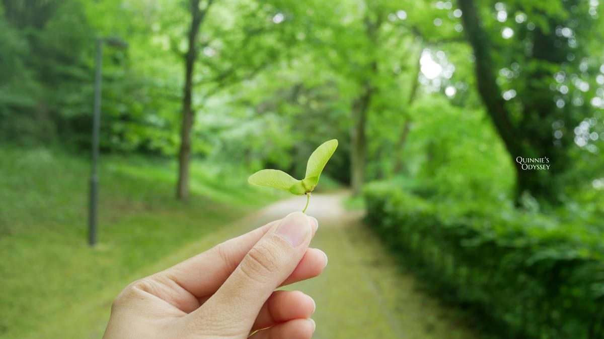 盧森堡自由行,兩天一夜行程:8個盧森堡市景點推薦 - 第5張圖 盧森堡