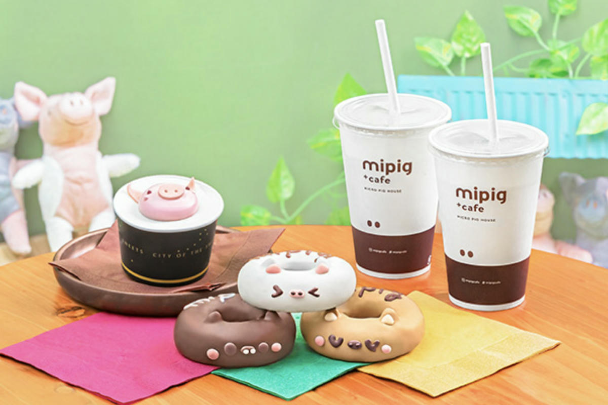Mipig Cafe日本迷你豬咖啡廳:東京/大阪/京都/北海道都有,超療癒迷你豬體驗 - 第4張圖 mipig cafe 餐點