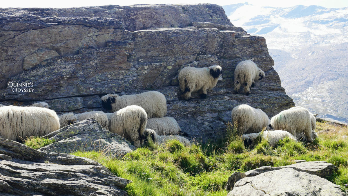 瑞士策馬特五湖健行 Stellisee