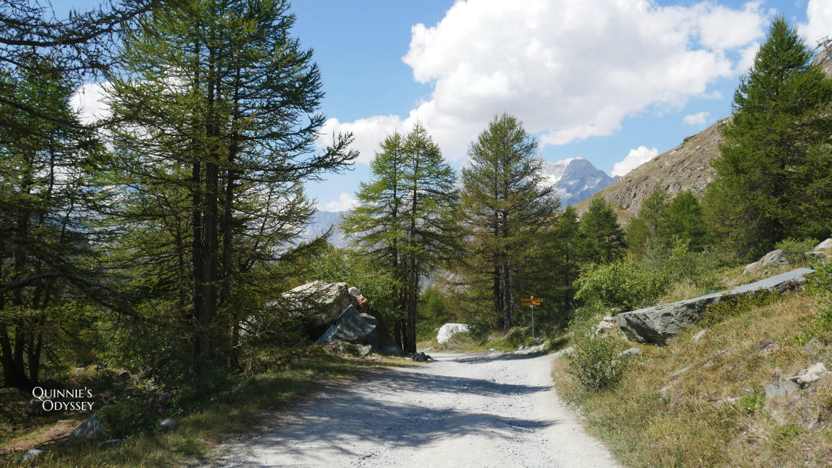 瑞士策馬特五湖健行 Grünsee