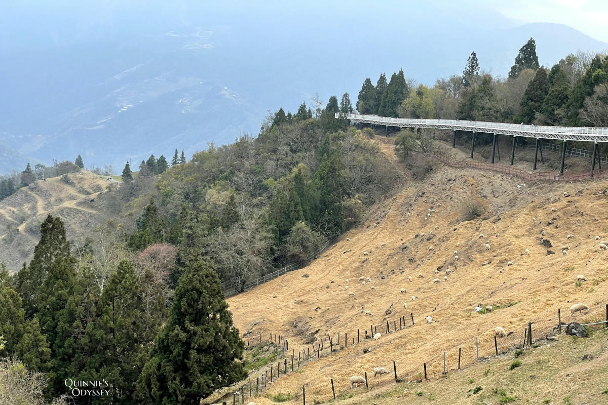 清境農場 高空步道