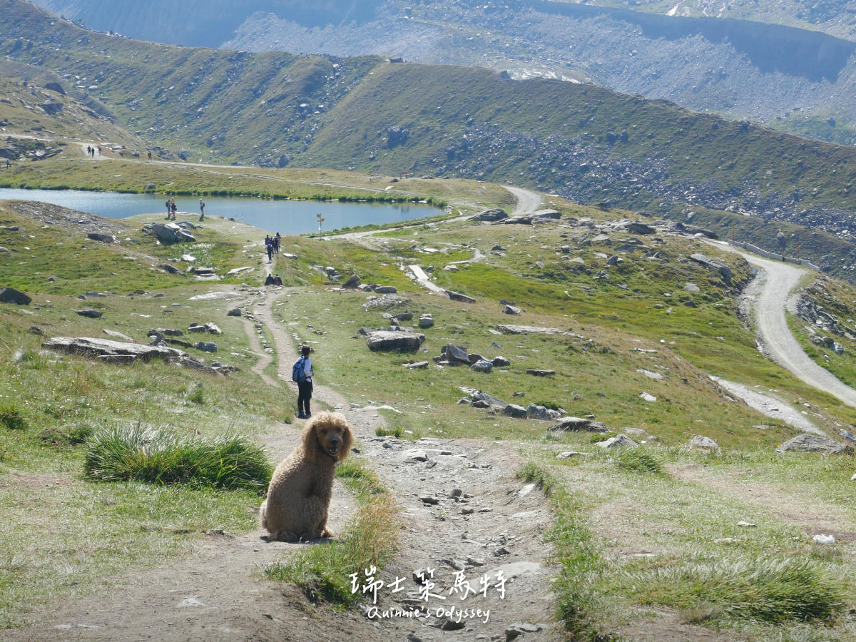 瑞士策馬特:童話小鎮三天兩夜旅遊行程與交通分享 - 第1張圖 瑞士策馬特