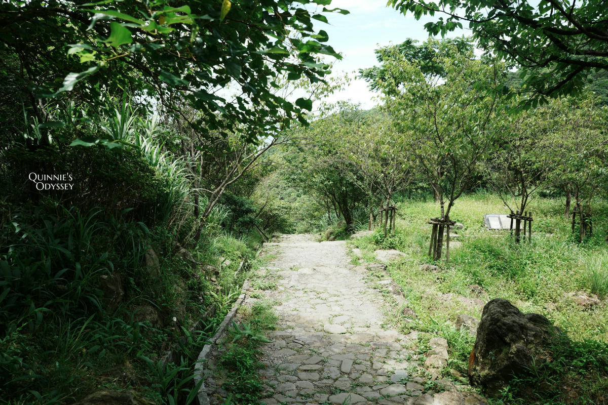 金瓜石神社:日治時期遺留下的百年黃金神社遺跡 - 第6張圖 金瓜石神社