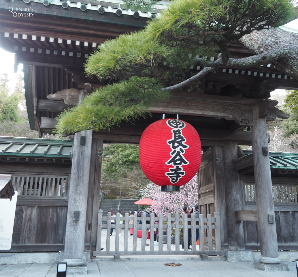 鎌倉一日遊景點推薦:從東京出發輕鬆玩古都 - 第10張圖 鎌倉 長谷寺