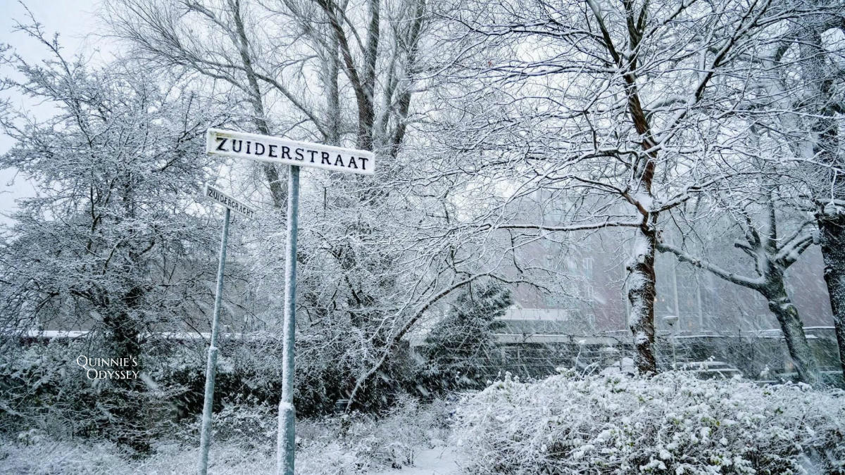 荷蘭台夫特 Delft 冬天下雪