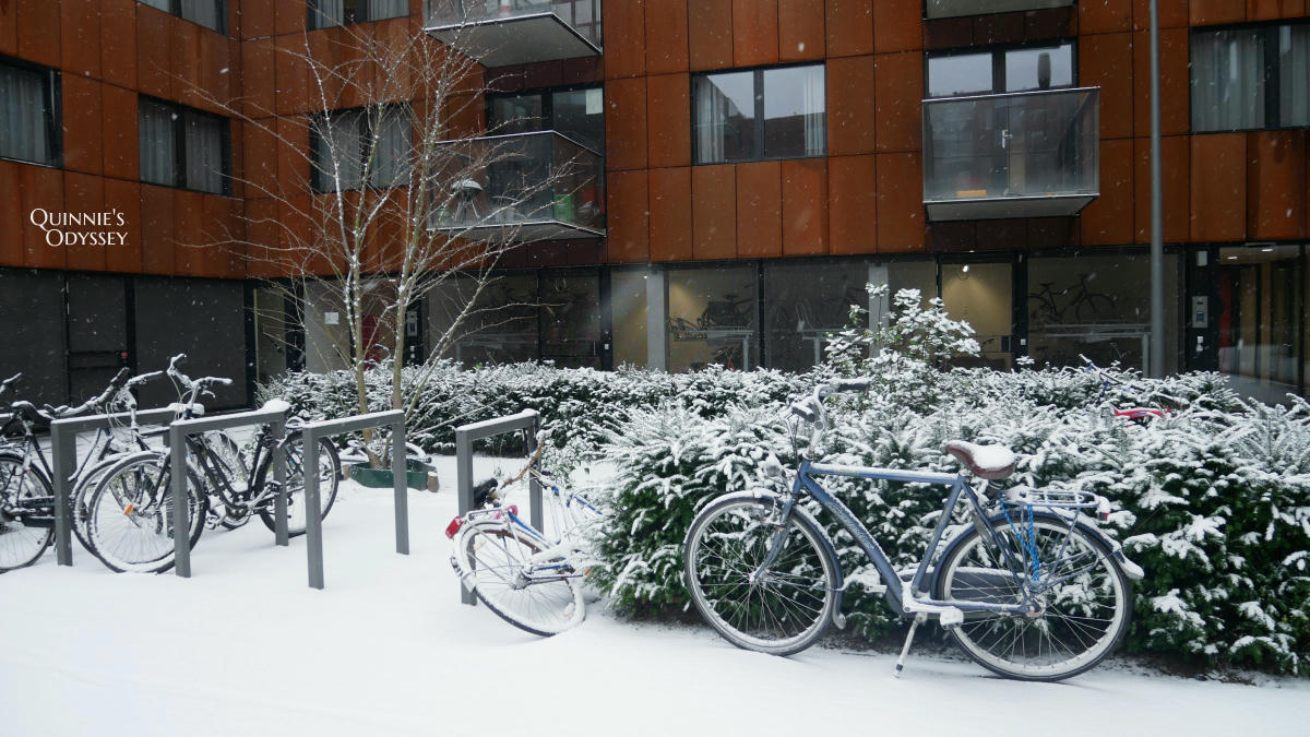 荷蘭台夫特 Delft 冬天下雪