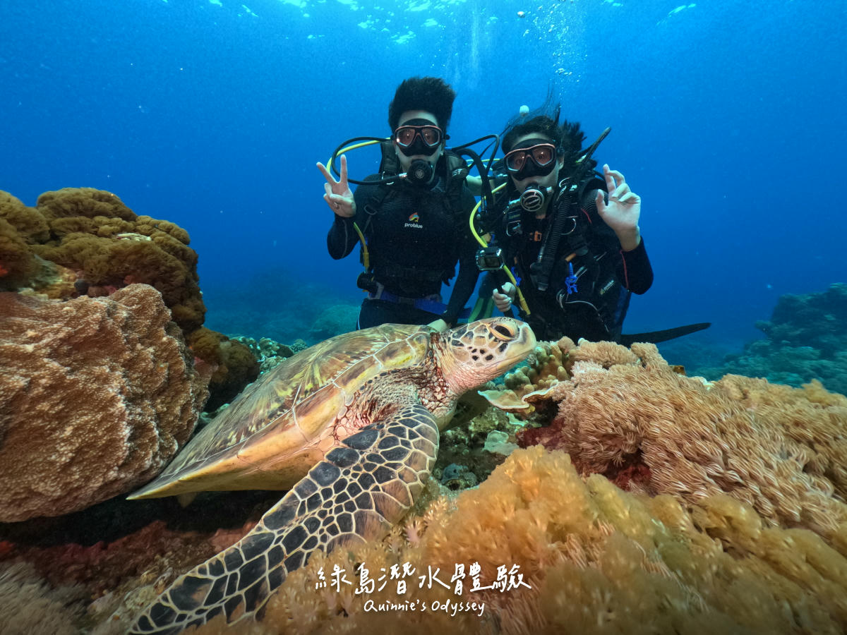 Green island diving 1