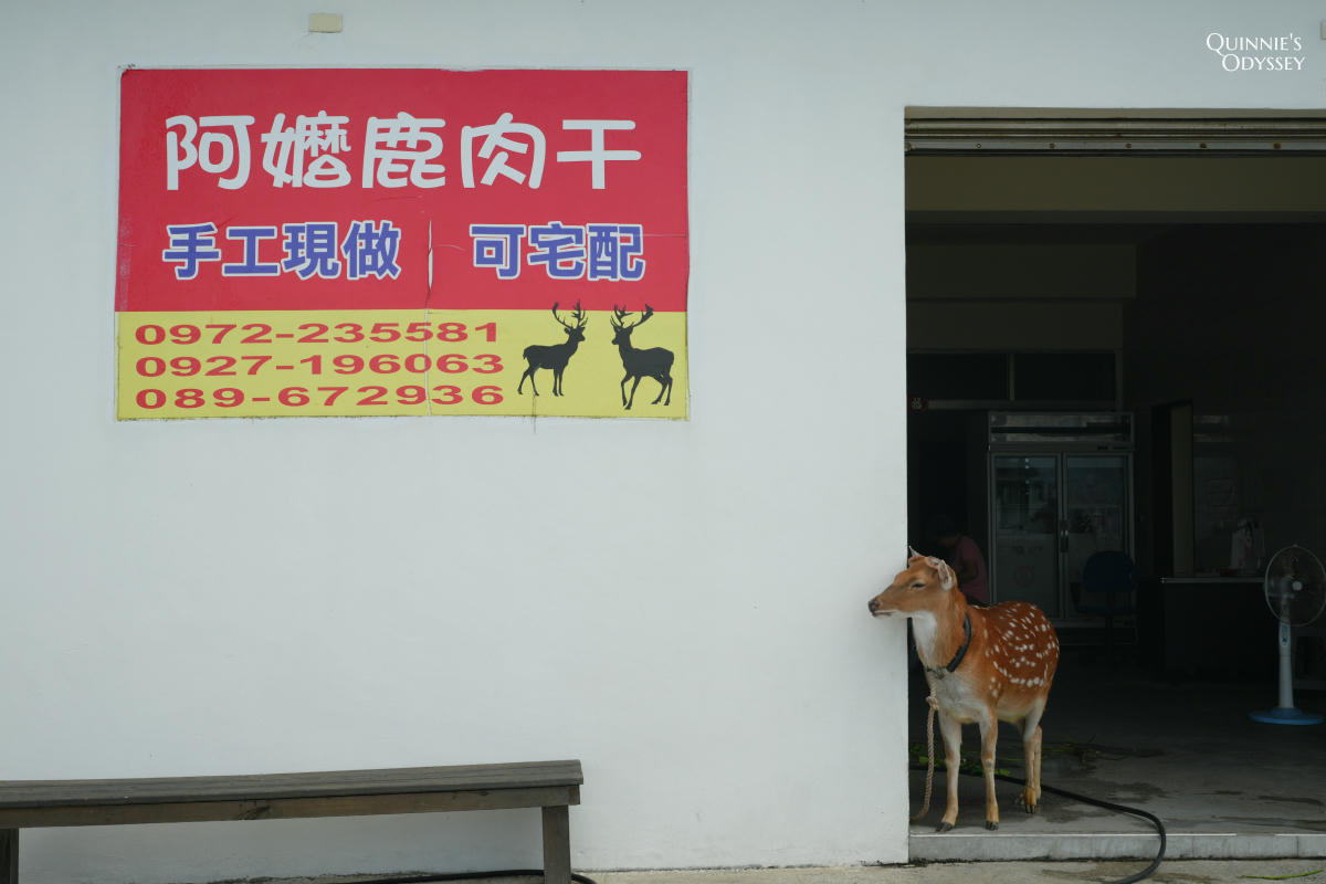 綠島12個景點推薦:三天兩夜行程、住宿、交通一次搞定 - 第35張圖 綠島 阿嬤鹿肉干