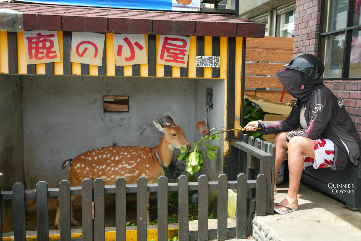 綠島美食地圖:14間必吃餐廳&必買伴手禮推薦 - 第33張圖 綠島伴手禮 鹿的小屋名產專賣店