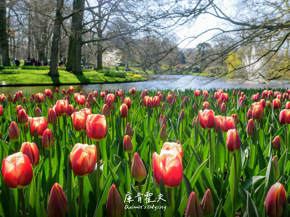 Keukenhof 1