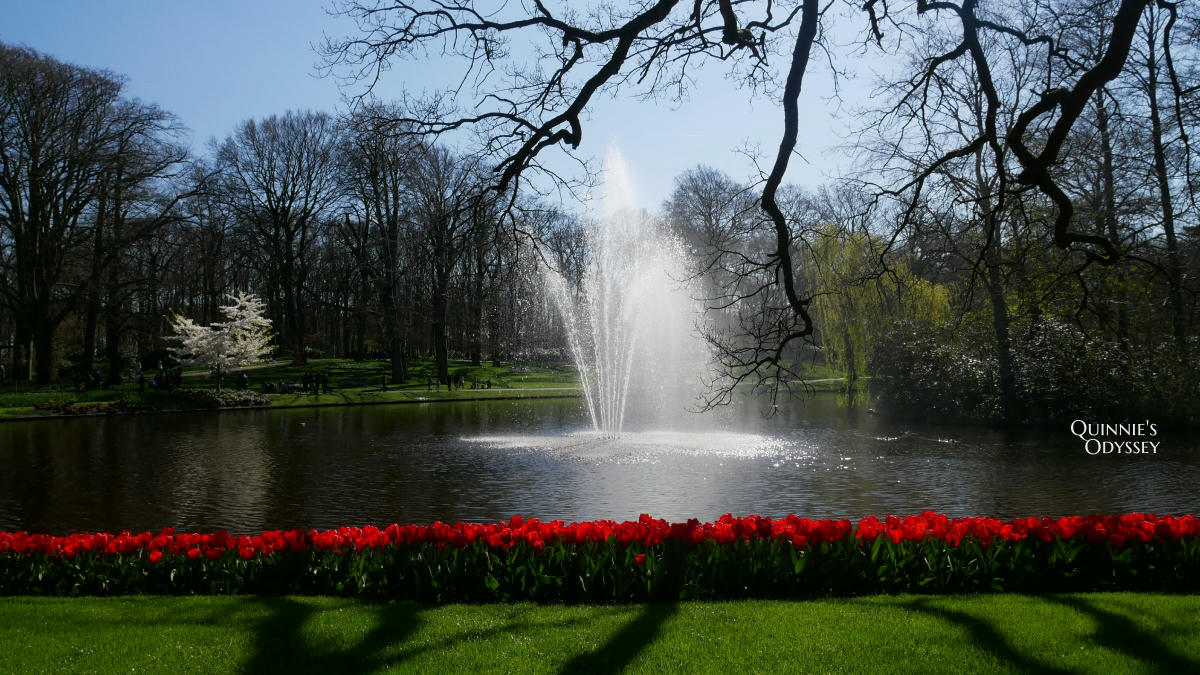 庫肯霍夫花園 鬱金香 Keukenhof