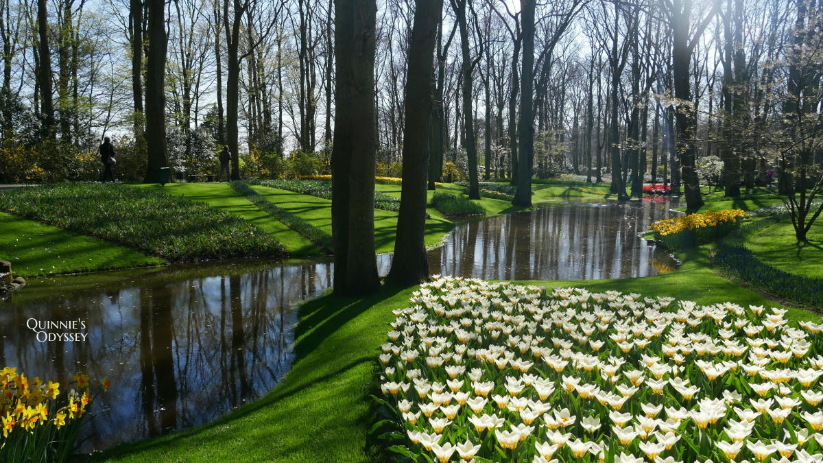 庫肯霍夫花園 鬱金香 Keukenhof
