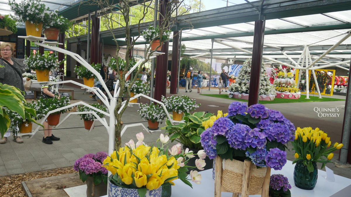 庫肯霍夫花園 花卉展覽 Keukenhof