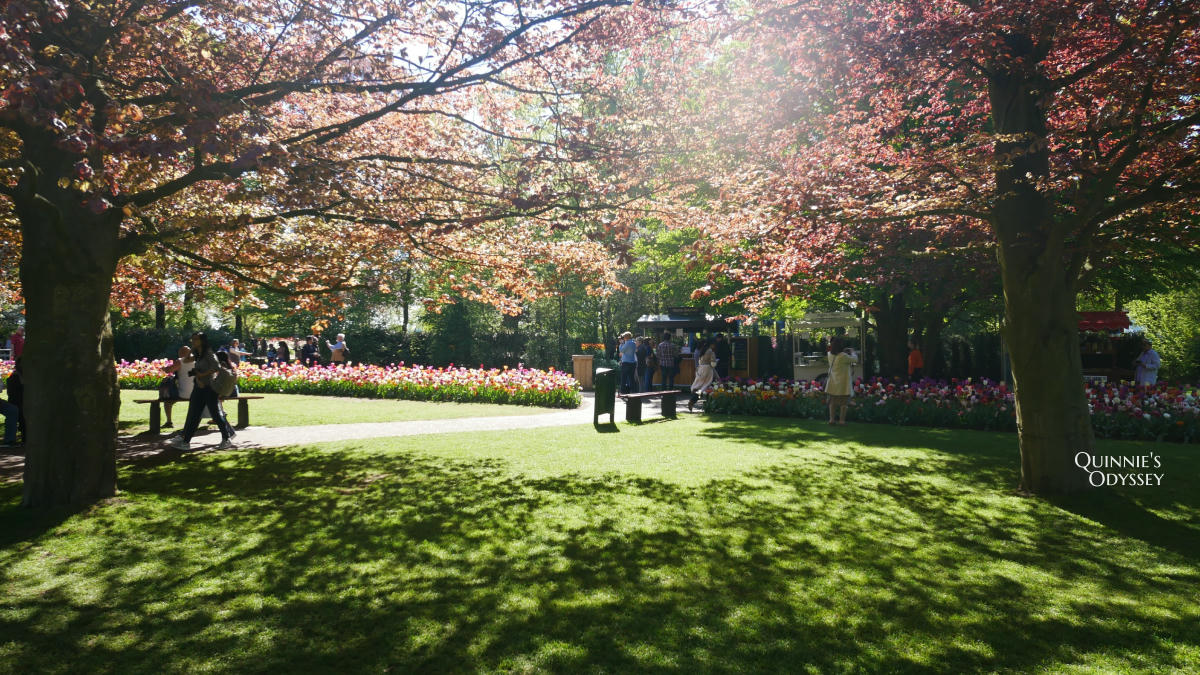 庫肯霍夫花園 Keukenhof
