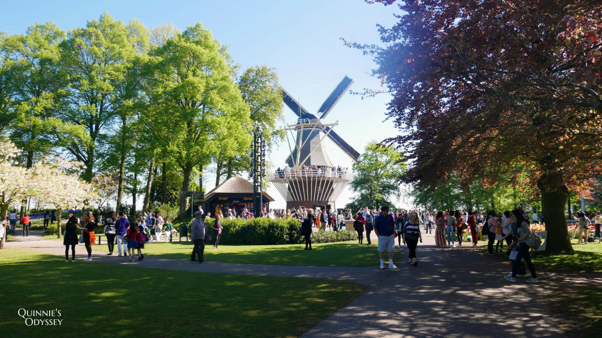 庫肯霍夫花園 風車 Keukenhof