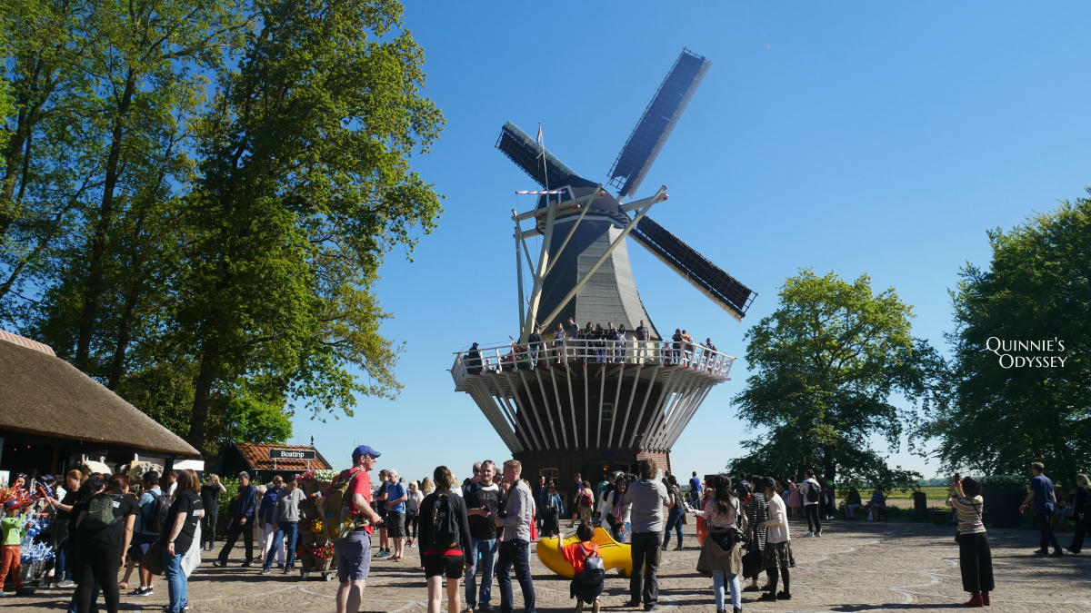 庫肯霍夫花園 風車 Keukenhof