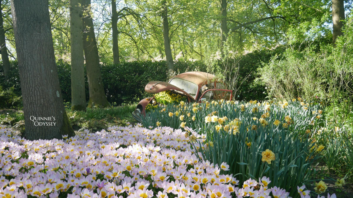 庫肯霍夫花園 鬱金香 Keukenhof