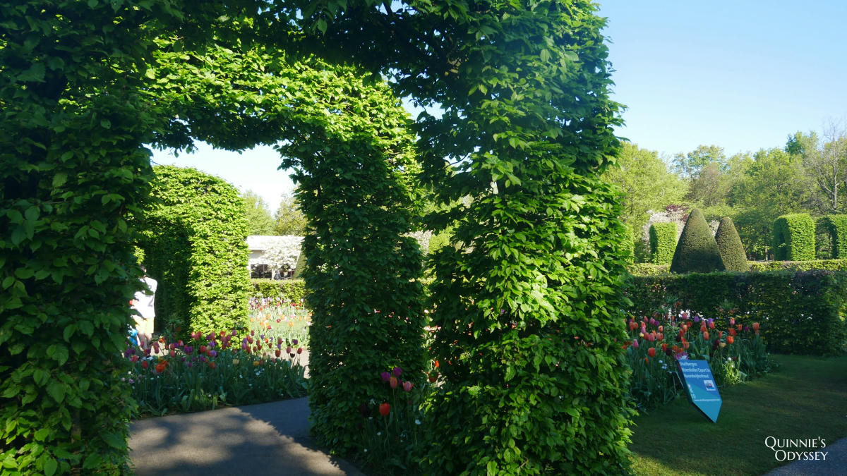 庫肯霍夫花園 迷宮花園 Keukenhof