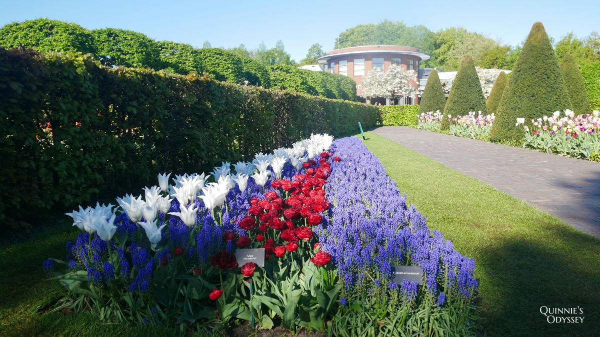 庫肯霍夫花園 鬱金香 Keukenhof