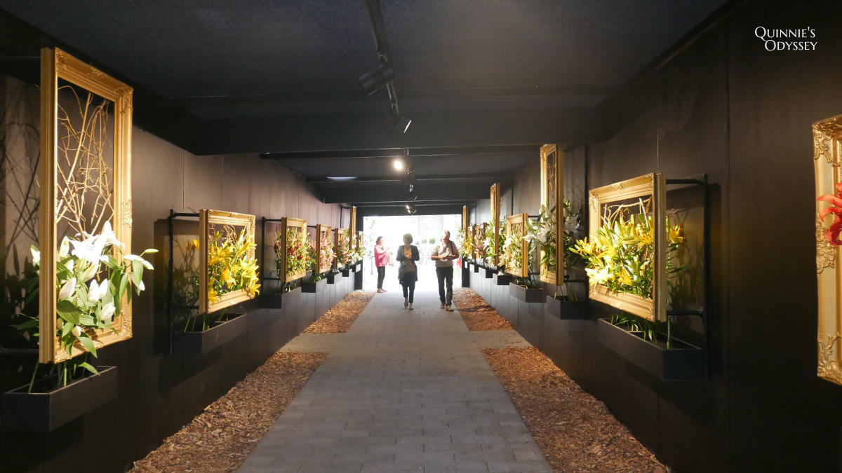 庫肯霍夫花園 花卉展覽 Keukenhof