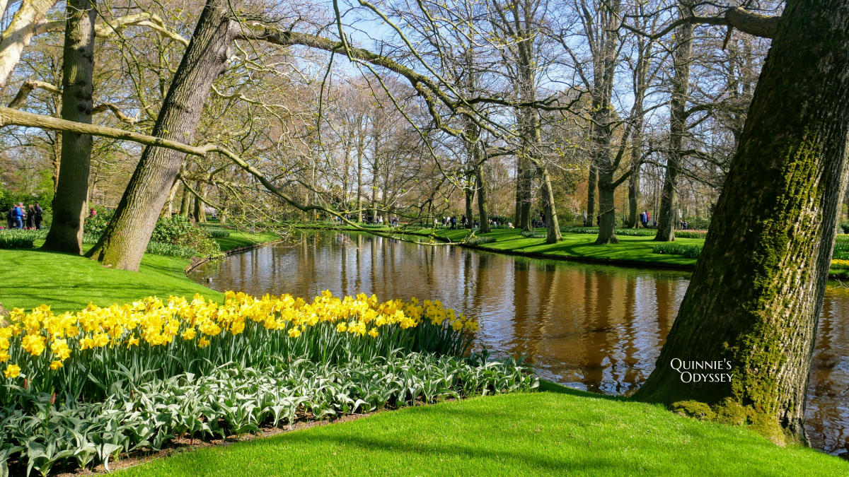 庫肯霍夫花園 鬱金香 Keukenhof