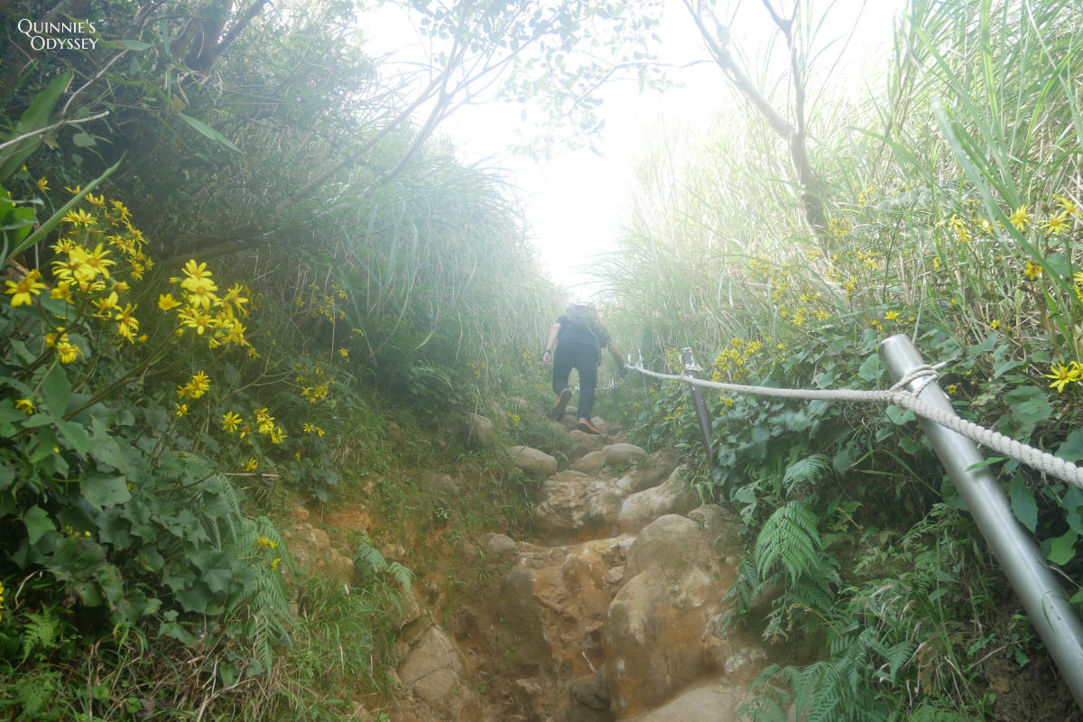 大屯山西峰