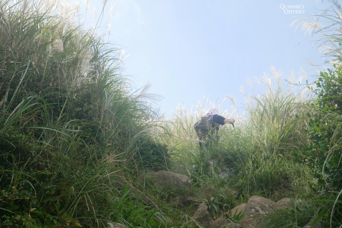 大屯山西峰